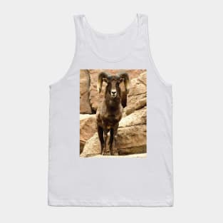 Big Horn Sheep Tank Top